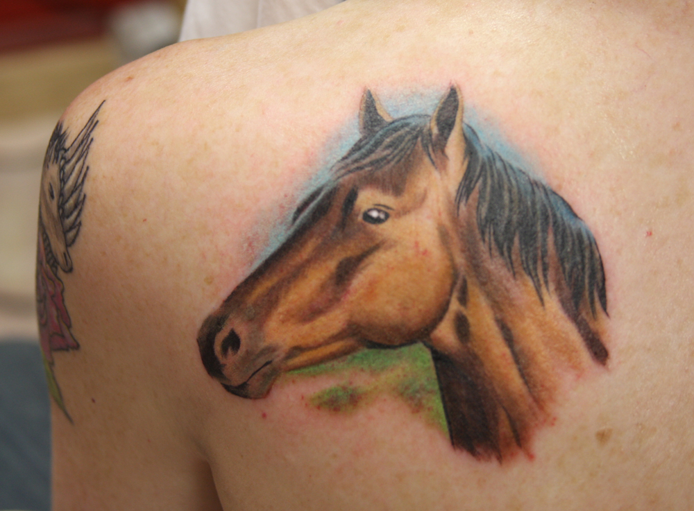 Tattoo picture of Horse with Dog on back Keywords Artist Michael First 